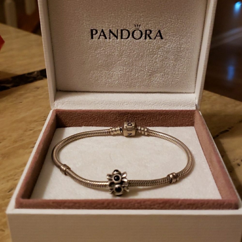 Pandora charm